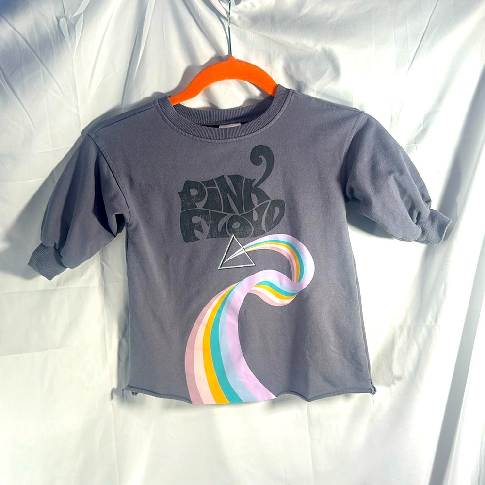 Toddlers Pink Floyd Sweatshirt 2T grey logo swirl pattern music classic rock